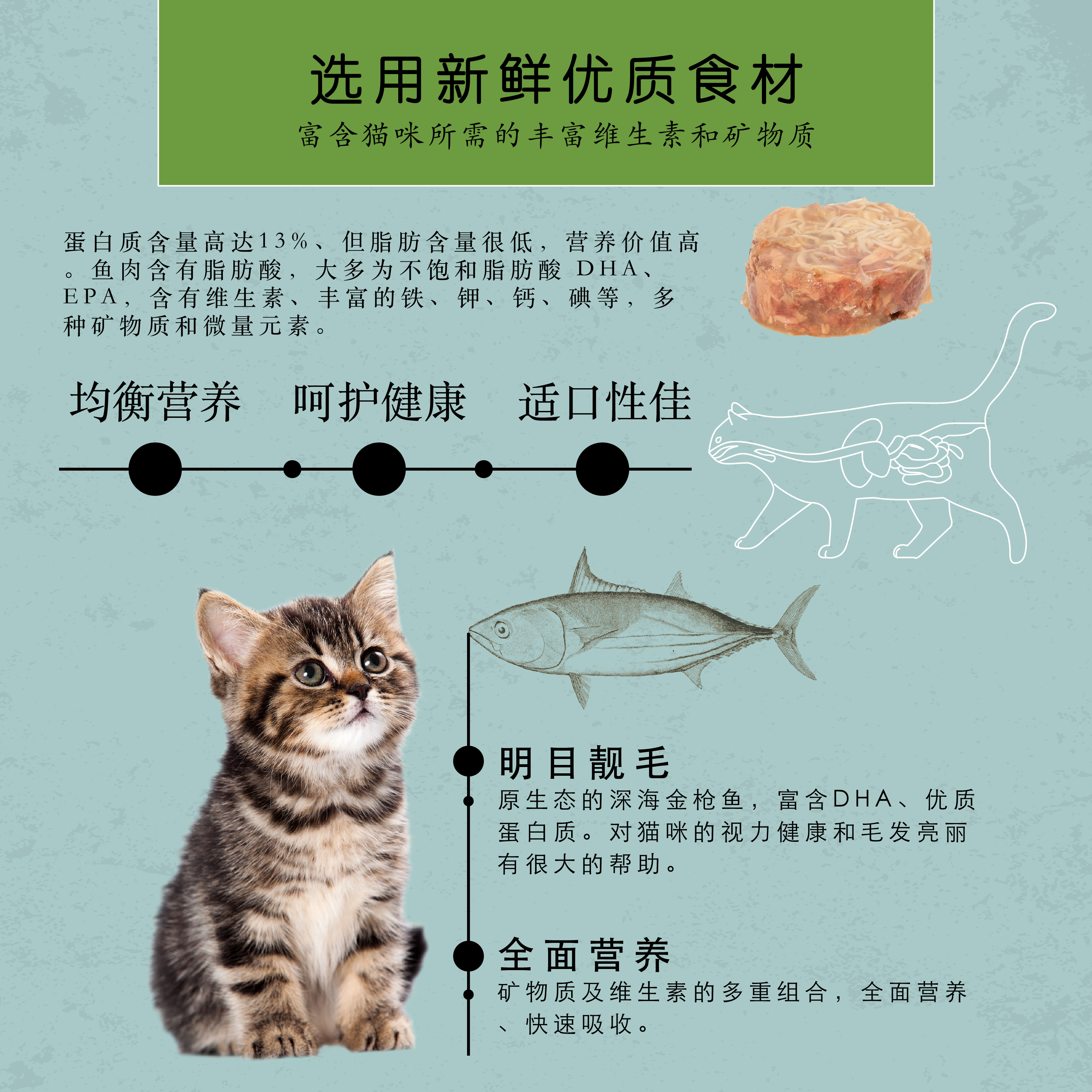 SC Tuna Web Post-05.png